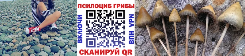 Галлюциногенные грибы Cubensis  Ржев 