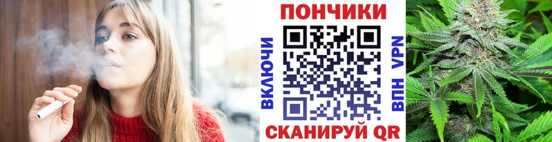 наркота  Ржев  Канабис сатива 